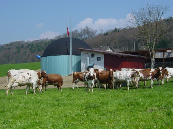 Klimaschutzprojekt Biogasanlagen in der Schweiz