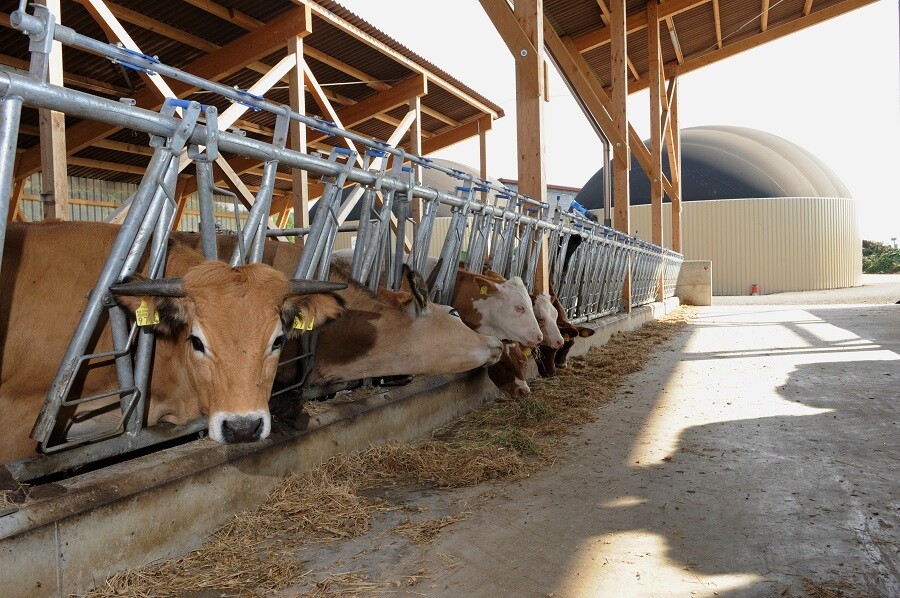 Klimaschutzprojekt Biogasanlagen auf Schweizer Bauernhoefen 3
