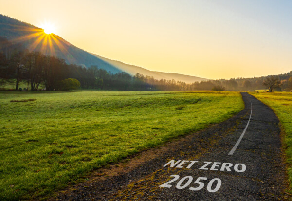 Weg zu Net Zero 2050