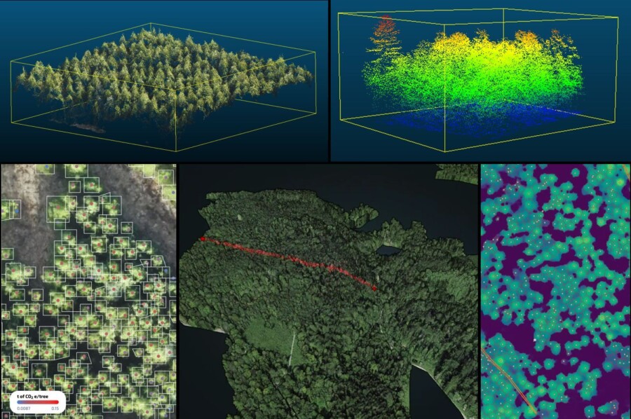Urstamm Projektbild 3